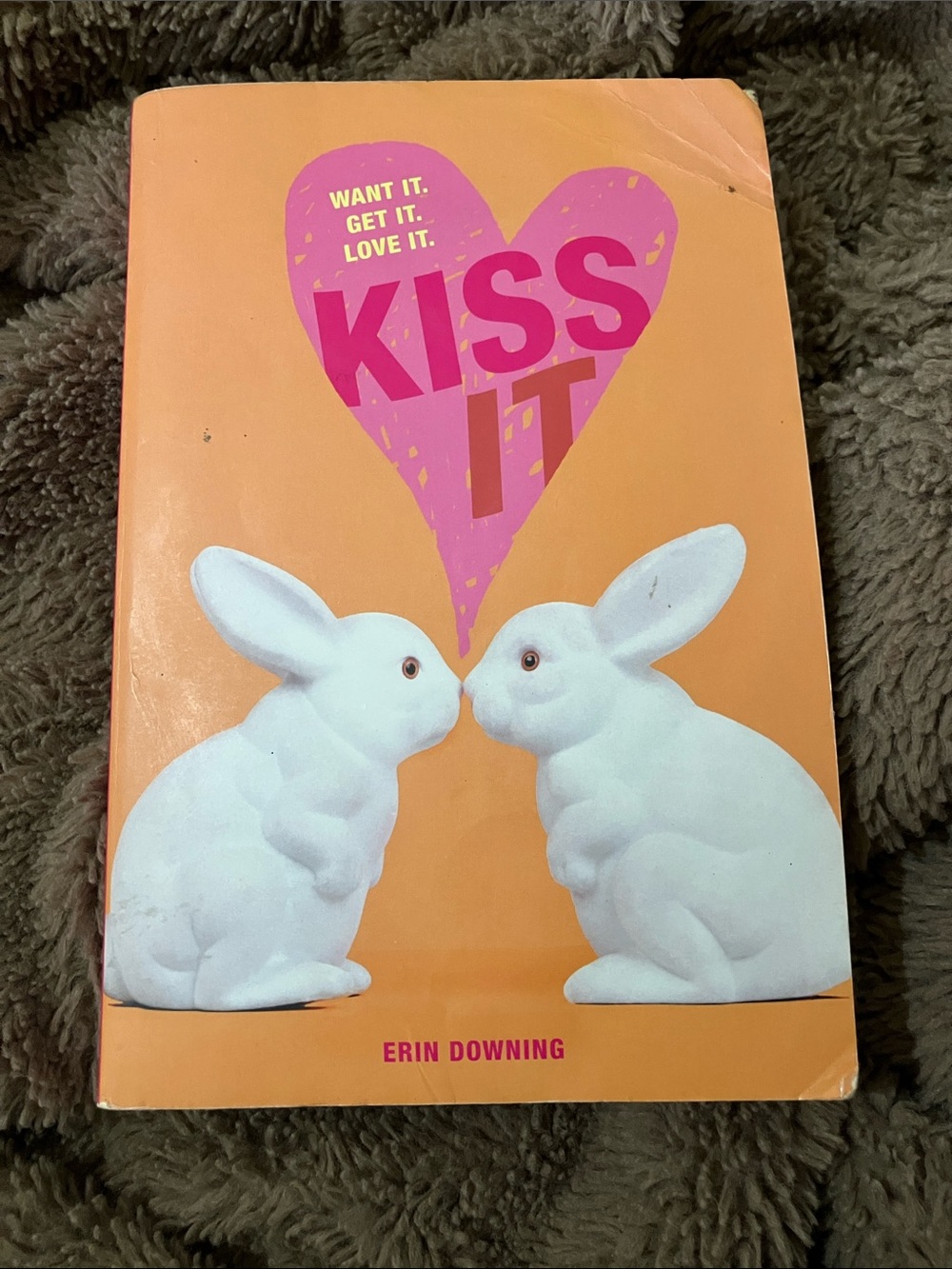 Kiss It Paperback Book with Bunny Cover - Orange & Pink